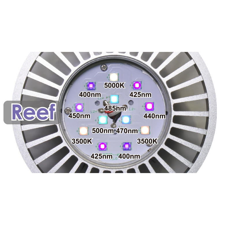 数量限定BT付きセット GrassyLeDioRX121s Reef/Silver