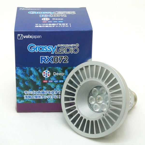 GrassyLeDio RX072 Deep /ディープ ボルクスジャパン ダイレクト